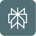 Icon Perplexity